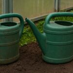 Wystarczą te dwie gnojówki i masz udany sezon uprawowy.