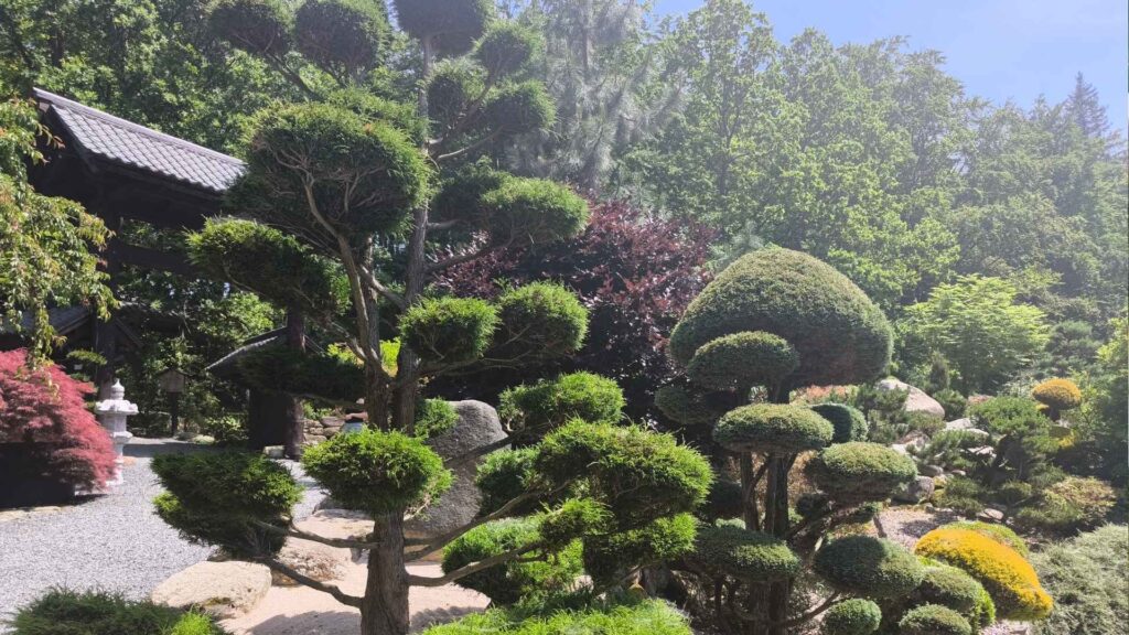 mała japonia ogród japoński karkonosze siruwia