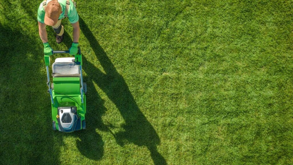 Piękny i soczyście zielony trawnik w ogrodzie wymaga sporych nakładów pracy | foto. Canva Pro