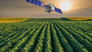 Dopłaty 2025 – trwa monitoring upraw. Sprawdź swój wniosek, aby uniknąć problemów | foto. Canva.com