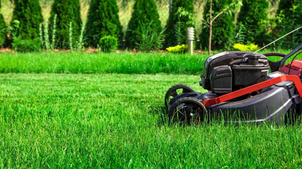 Kilka wskazówek na temat koszenia trawnika | foto. Canva Pro