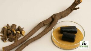 Lukrecja (Glycyrrhiza spp.) – słodki korzeń o silnym działaniu leczniczym | foto. Kamil w Ogrodzie