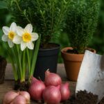 Co siejemy i sadzimy w listopadzie? | foto. Kamil w Ogrodzie