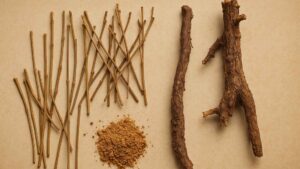 Przęśl chiński (Ephedra sinica) – zioło o mocy oddechu i energii. Dlaczego jego stosowanie budzi kontrowersje? | foto. Kamil w Ogrodzie