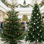 Jaka choinka się nie sypie – żywa czy sztuczna? Którą wybrać? | foto. Kamil w Ogrodzie