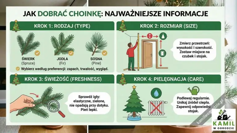 Jak dobrać choinkę do swojego domu? | foto. Kamil w Ogrodzie
