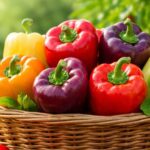 Papryka do uprawy w gruncie – najlepsze sprawdzone odmiany | foto. Kamil w Ogrodzie