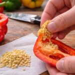 Wyjąłeś nasiona z papryki kupionej w markecie? Zrób tę jedną rzecz, zanim włożysz je do ziemi | foto. Kamil w Ogrodzie