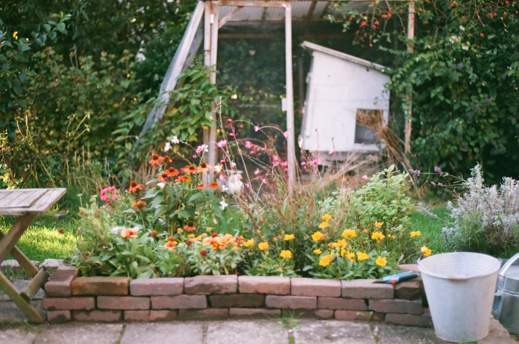 Kwiaty, które pokochają Twój ogród – jak zapewnić im idealne warunki do wzrostu?