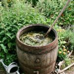 Jakich roślin nie należy podlewać gnojówką z pokrzyw? | foto. Kamilwogrodzie.pl