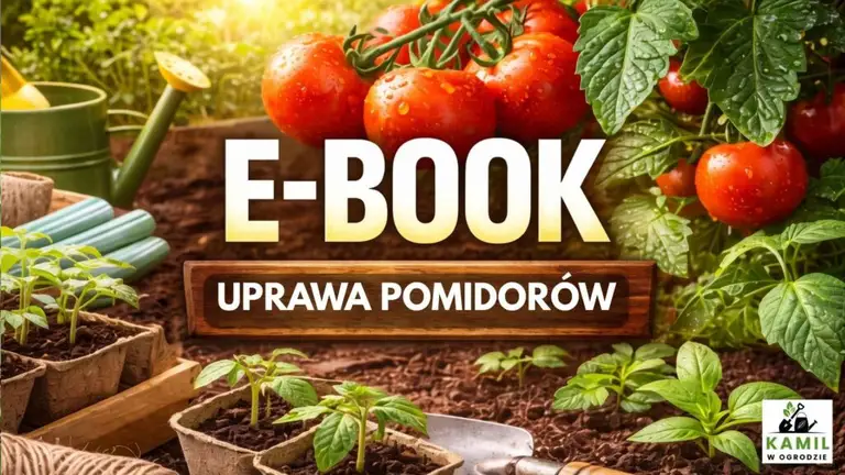 E-book: Uprawa pomidorów od A do Z – kompletny poradnik krok po kroku (60+ stron wiedzy)