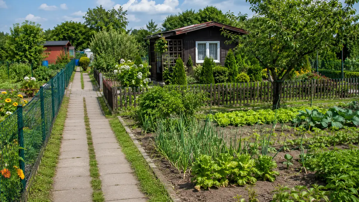 Ustawa o rodzinnych ogrodach działkowych po ludzku. Co wolno na ROD, czego nie i jakie prawa ma działkowiec?